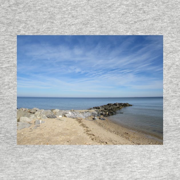 Looking out at The Chesapeake Bay 002 by ToniaDelozier